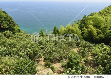 [長崎] Lo田和海岸 46008702