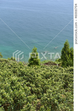 [Nagasaki] Loquat field and coast 46008704