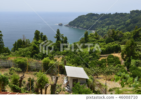 [Nagasaki] Loquat field and coast 46008710