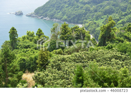 [長崎] Lo田和海岸 46008723