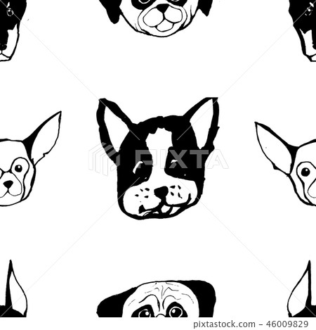 Seamless pattern with Dog breeds. Bulldog, Husky, Alaskan Malamute, Retriever, Doberman, Poodle, Pug Seamless pattern with Dog breeds. Bulldog, Husky, Alaskan Malamute, Retriever, Doberman, Poodle, Pug 46009829