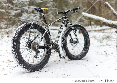 A fatbike standing in the woods in winter 46011062