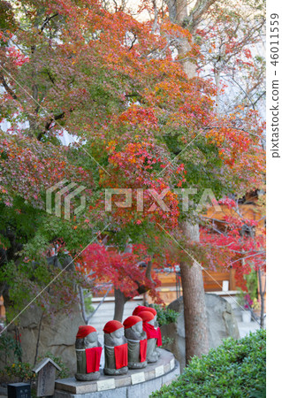 Kobe in the fall, Suma-dera 46011559