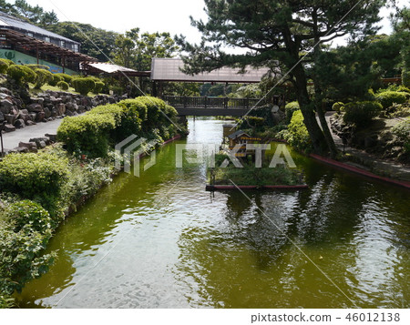 伊豆Shaboten動物園 46012138