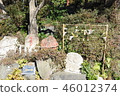 Kamisu Taisha marriage 46012374