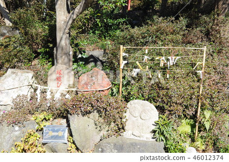 Kamisu Taisha結婚 Kamisu Taisha結婚 46012374