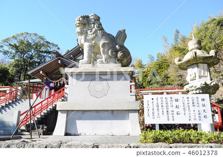 Kamisu Taisha Shiba Inu Kamisu Taisha Shiba Inu 46012378
