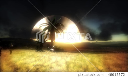 Silhouette of palm trees and a beautiful sunset Silhouette of palm trees and a beautiful sunset 46012572