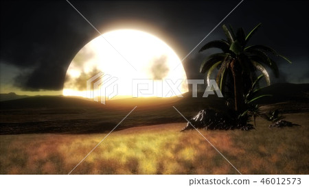 Silhouette of palm trees and a beautiful sunset Silhouette of palm trees and a beautiful sunset 46012573