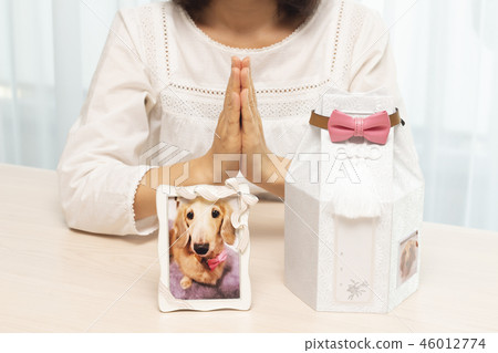 Pet loss Pet loss 46012774