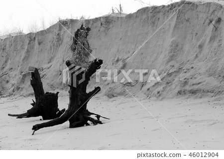 sandy coast after the storm. a photo 46012904