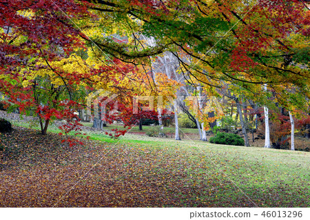 秋天的花園 46013296