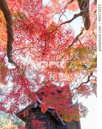 Nanzenji in autumn Nanzenji in autumn 46013823