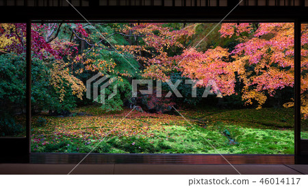秋葉在京都 秋葉在京都 46014117