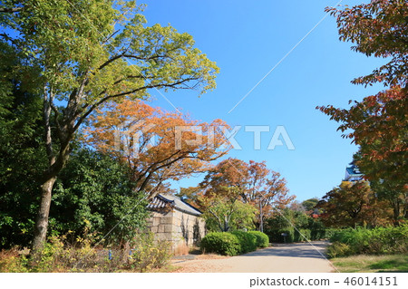 Autumn West Maru Garden Autumn West Maru Garden 46014151