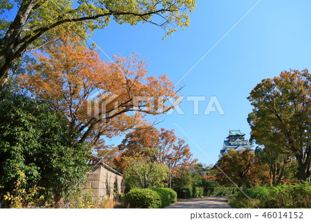 秋天西Maru花園 秋天西Maru花園 46014152