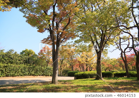 秋天西Maru花園 秋天西Maru花園 46014153
