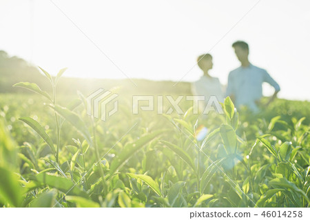 Nature middle couple Nature middle couple 46014258