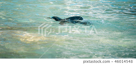 可愛的南極浮世繪黳腳鵝動物園企鵝在動物園的企鵝 46014548