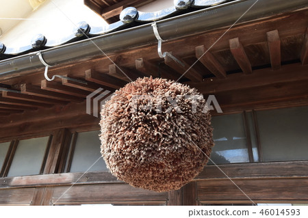 Sugiyama Sugiyama 46014593