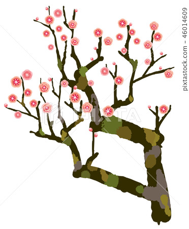 Plum plum tree red plum 46014609