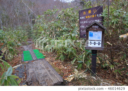 Climb entrance to Osenuma near the spring Oze Sanhei Bridge Climb entrance to Osenuma near the spring Oze Sanhei Bridge 46014629