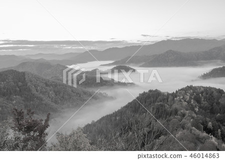 (Monochrome) Oyin Yu autumn leaves (Monochrome) Oyin Yu autumn leaves 46014863