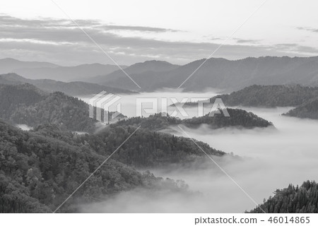 (單色)Oyin Yu秋葉 (單色)Oyin Yu秋葉 46014865