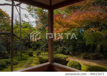 Autumn Hosenin 46015071