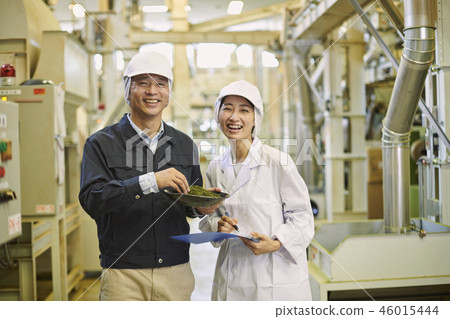 Tea factory portrait Tea factory portrait 46015444
