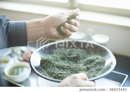 Tea plant Tea plant 46015491