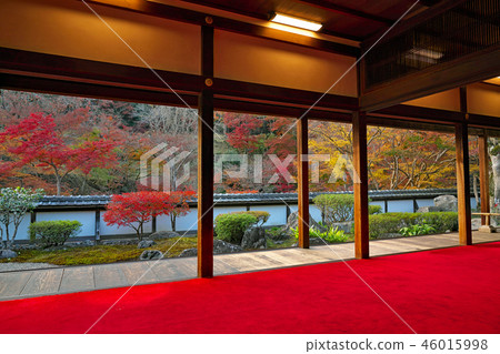 [Shokuji Temple Fukujuin] Bodhiyama Town, Nara City, Nara Prefecture 46015998
