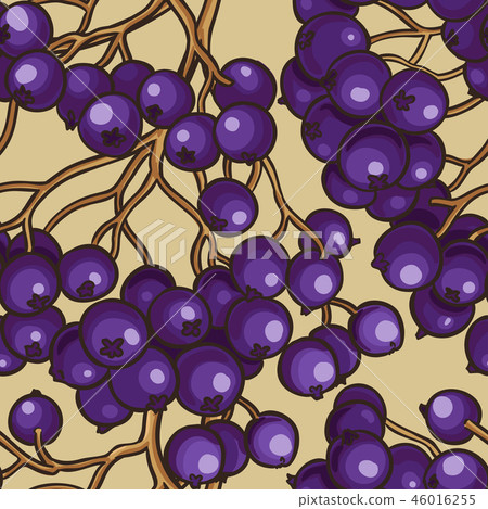 black rowan berries vector pattern 46016255