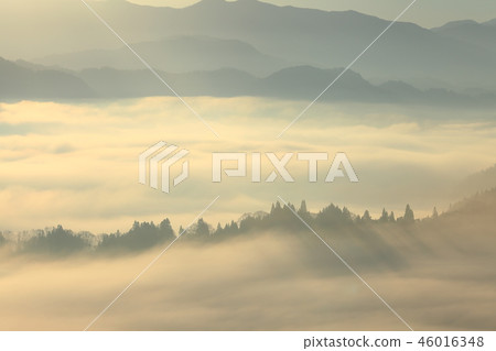 雲景觀森林漂浮在雲海[Nakita Pref。 46016348