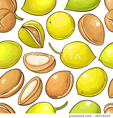 argan vector pattern 46016420