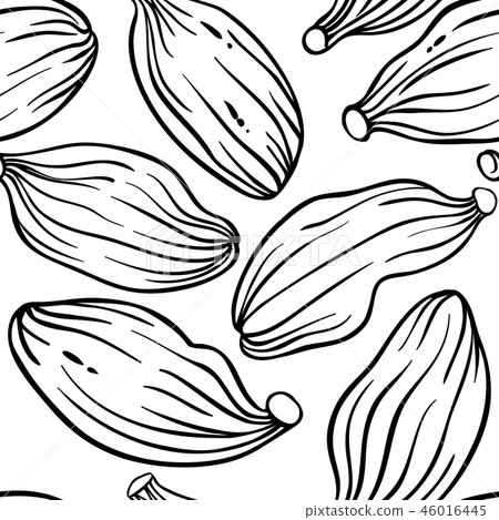 cardamom seeds vector pattern cardamom seeds vector pattern 46016445