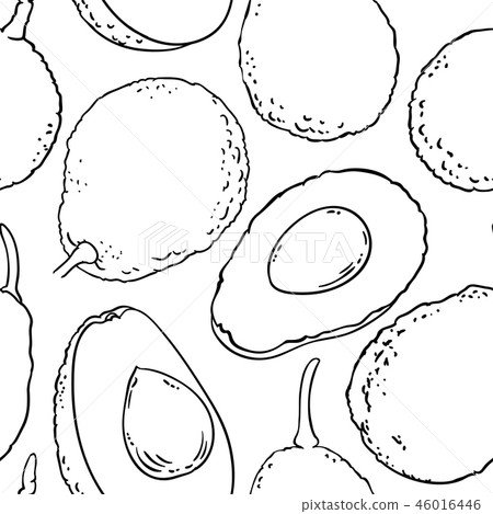 avocado vector pattern 46016446
