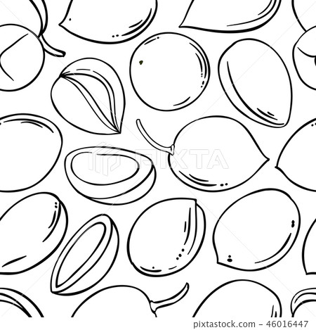 argan vector pattern 46016447