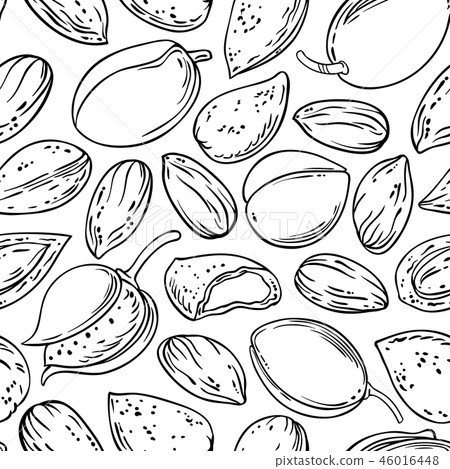almond nuts vector pattern almond nuts vector pattern 46016448