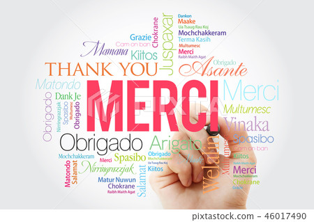 Merci (Thank You in French) Word Cloud 46017490
