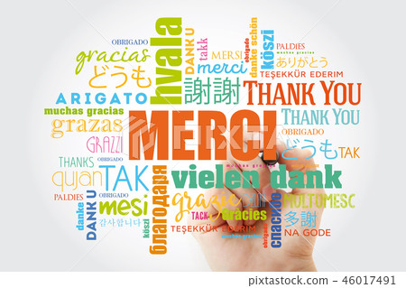 Merci (Thank You in French) Word Cloud 46017491