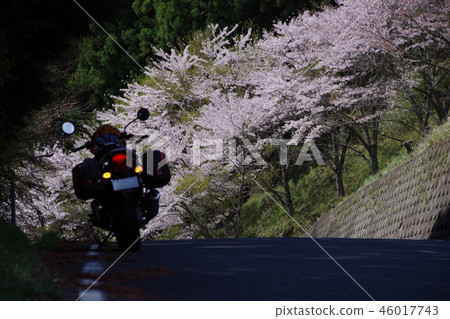 另見圖片 另見圖片 46017743