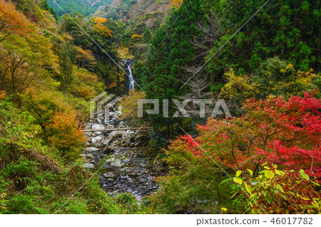 Suzugawa Valley Fuji City 46017782