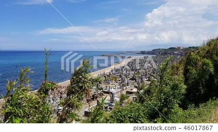 Midsummer Hanamigata Cemetery 46017867