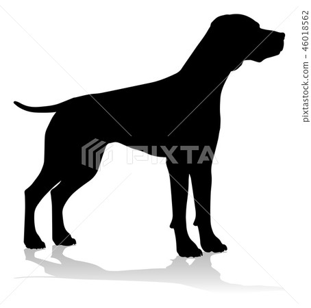 Dog Silhouette Pet Animal 46018562