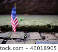 American Flag 46018905