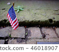 American Flag 46018907