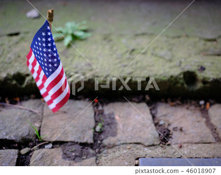American Flag 46018907