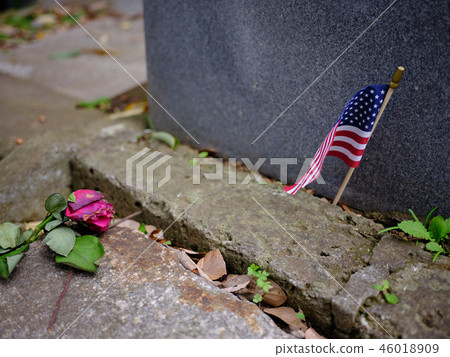 American Flag 46018909