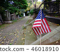 American Flag 46018910
